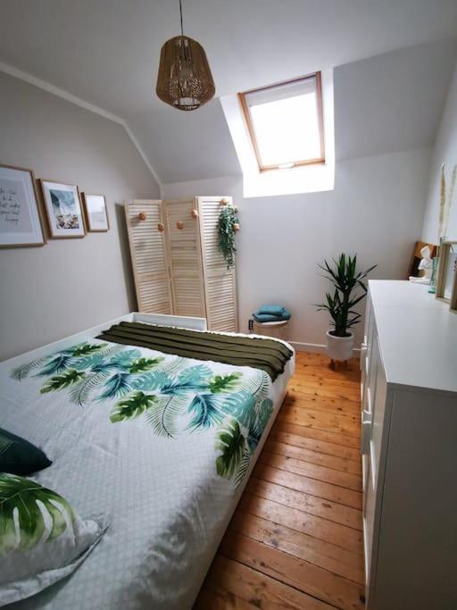 Guest House 60M2 Tout Confort Erquy Ngoại thất bức ảnh